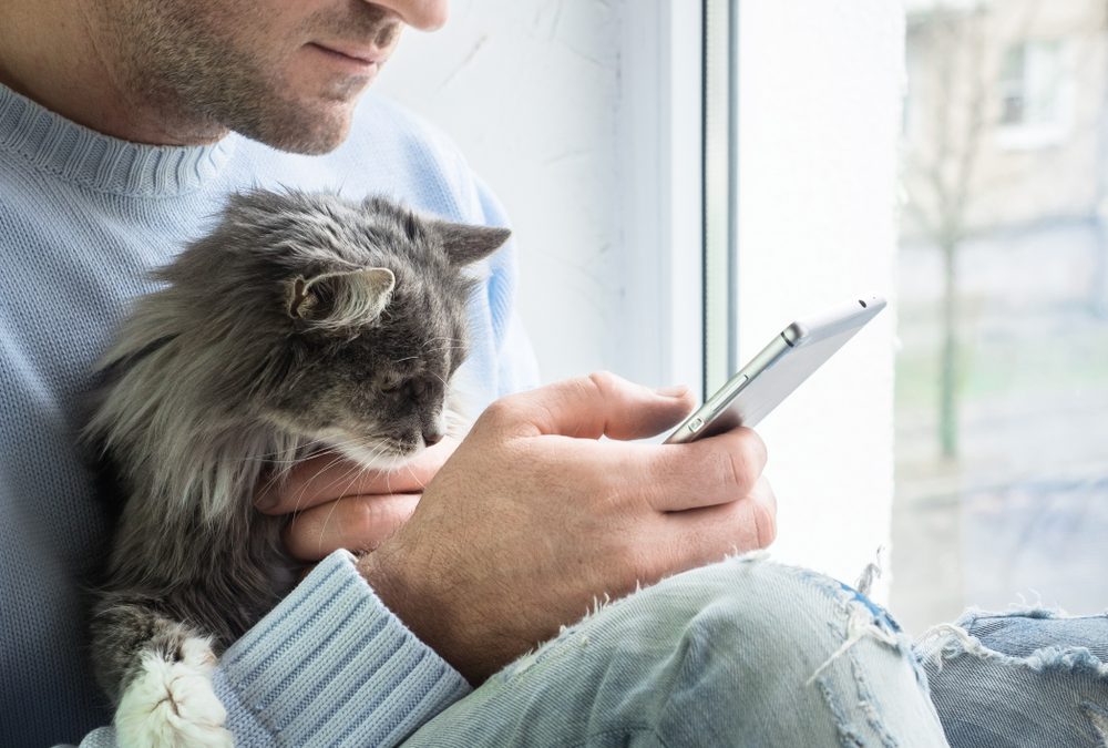 chat-homme